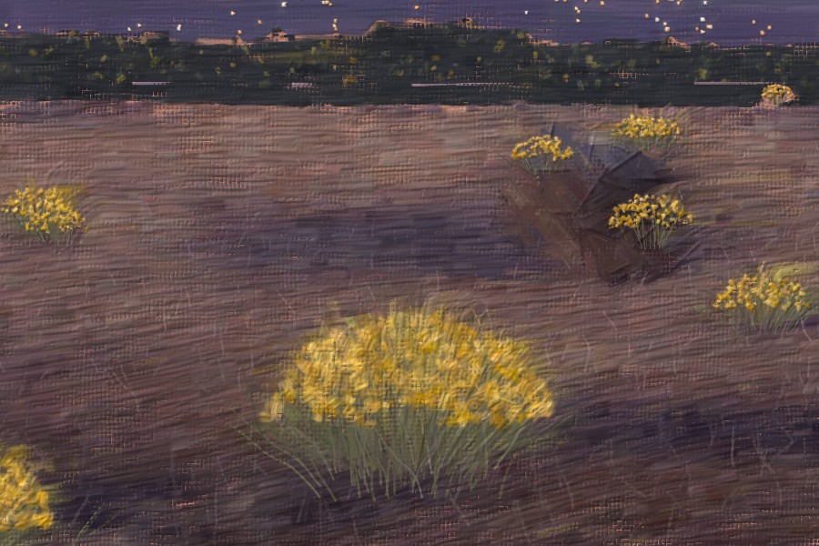 Detail: chamisa in bloom in the foreground.